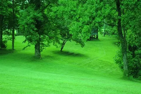 376 Ike Monhollen Rd, Corbin, KY 40701 photo 3