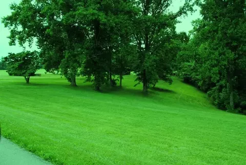 376 Ike Monhollen Rd, Corbin, KY 40701 photo 6