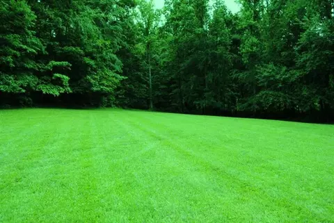 376 Ike Monhollen Rd, Corbin, KY 40701 photo 23