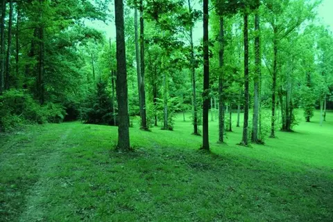 376 Ike Monhollen Rd, Corbin, KY 40701 photo 30