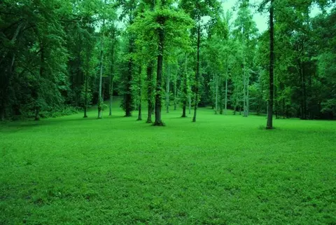 376 Ike Monhollen Rd, Corbin, KY 40701 photo 39
