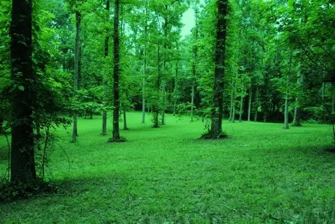 376 Ike Monhollen Rd, Corbin, KY 40701 photo 34