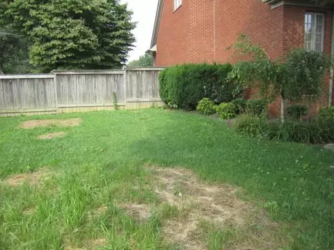 1301 Roosevelt St, Corbin, KY 40701 photo 17
