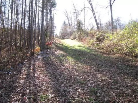 495 Mac Stevens Rd, Mckee, KY 40447 photo 26