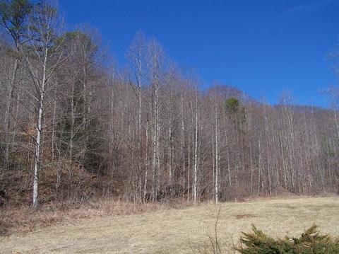 9499 Ky 718, Walker, KY 40997 photo 8