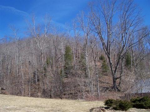 9499 Ky 718, Walker, KY 40997 photo 14