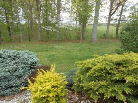 1010 Pinella Dr, Corbin, KY 40701 photo 4