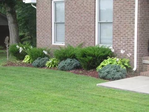163 Spring Cut Cir, Corbin, KY 40701 photo 2