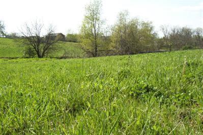 113 Spring Island Dr, Georgetown, KY 40324 photo 2