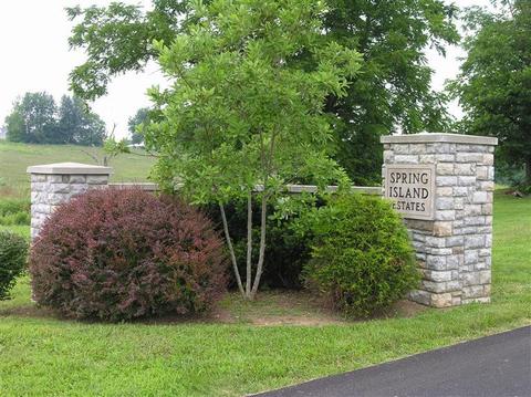 113 Spring Island Dr, Georgetown, KY 40324 photo 5