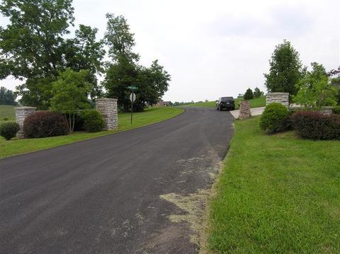 113 Spring Island Dr, Georgetown, KY 40324 photo 4