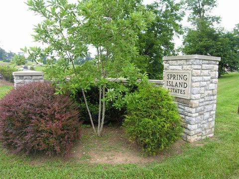113 Spring Island Dr, Georgetown, KY 40324 photo 1