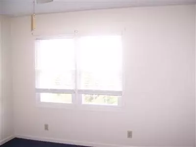 175 Pinckard Pike, Versailles, KY 40383 photo 14