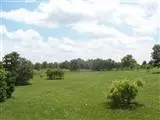 175 Pinckard Pike, Versailles, KY 40383 photo 26