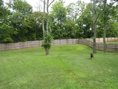 135 Starting Gate Pt, Georgetown, KY 40324 photo 2