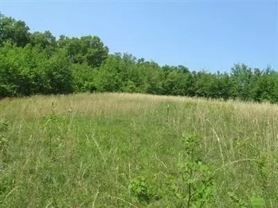 190 Falling Branch Rd, Waco, KY 40385 photo 16