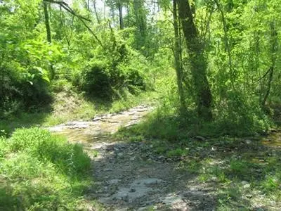 190 Falling Branch Rd, Waco, KY 40385 photo 17