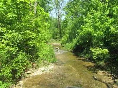 190 Falling Branch Rd, Waco, KY 40385 photo 13