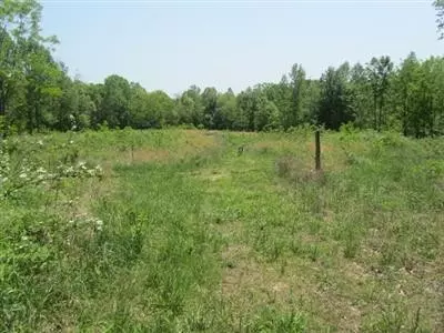 190 Falling Branch Rd, Waco, KY 40385 photo 15