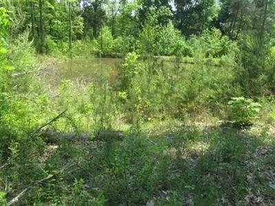 190 Falling Branch Rd, Waco, KY 40385 photo 19