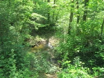 190 Falling Branch Rd, Waco, KY 40385 photo 11