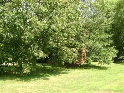 152 Lakeview Dr, Georgetown, KY 40324 photo 5