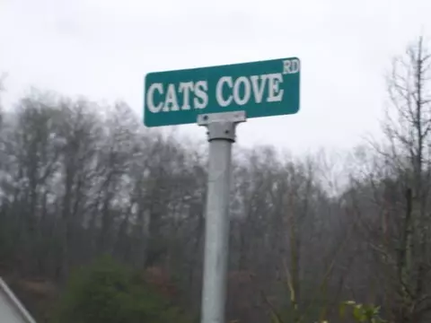 148 Sons Rd, Stanton, KY 40380 photo 26