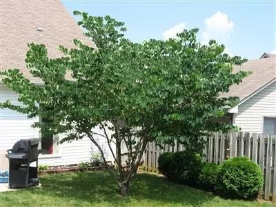 1189 Red Stone Dr, Lexington, KY 40509 photo 29