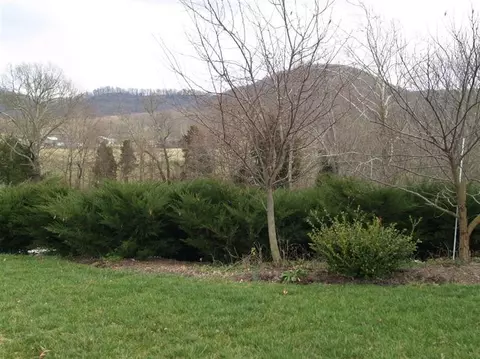 344 Keith Dr, Berea, KY 40403 photo 58