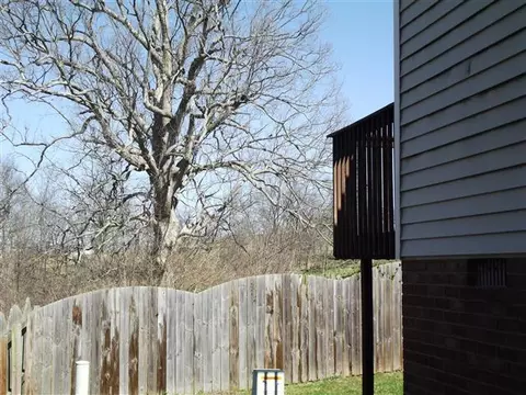 278 Williamsburg Ln, Georgetown, KY 40324 photo 20