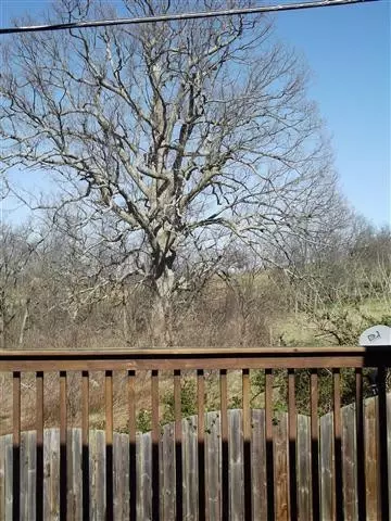 278 Williamsburg Ln, Georgetown, KY 40324 photo 18