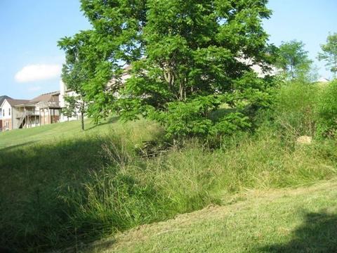 217 Lakeside Dr, Georgetown, KY 40324 photo 4