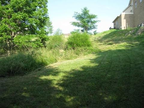 217 Lakeside Dr, Georgetown, KY 40324 photo 1
