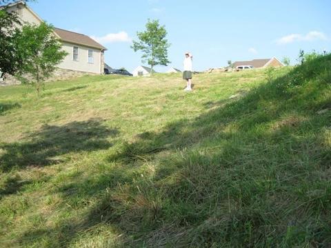 217 Lakeside Dr, Georgetown, KY 40324 photo 5