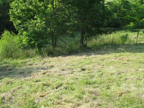 217 Lakeside Dr, Georgetown, KY 40324 photo 7