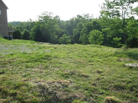 217 Lakeside Dr, Georgetown, KY 40324 photo 8