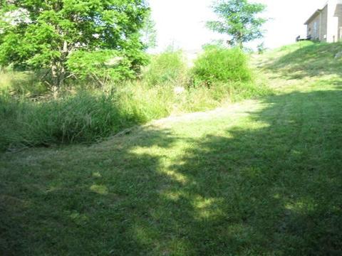 217 Lakeside Dr, Georgetown, KY 40324 photo 2