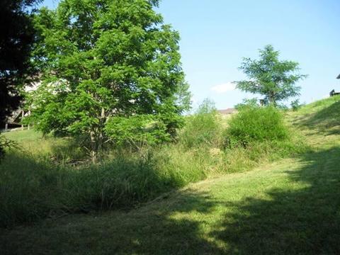 217 Lakeside Dr, Georgetown, KY 40324 photo 3