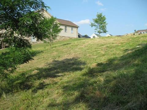 217 Lakeside Dr, Georgetown, KY 40324 photo 6