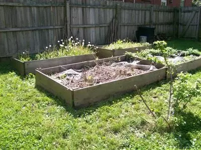 118 E Third St, Frankfort, KY 40601 photo 37