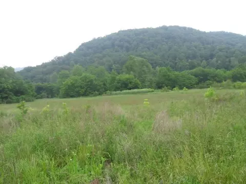 306 S Fork Rd, Stanton, KY 40380 photo 30