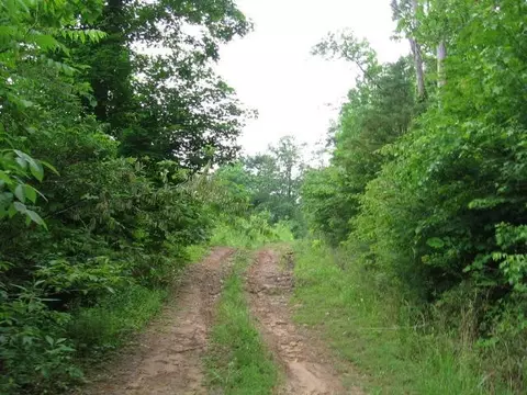 306 S Fork Rd, Stanton, KY 40380 photo 7