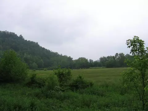 306 S Fork Rd, Stanton, KY 40380 photo 35