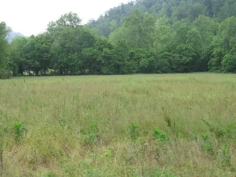 306 S Fork Rd, Stanton, KY 40380 photo 14
