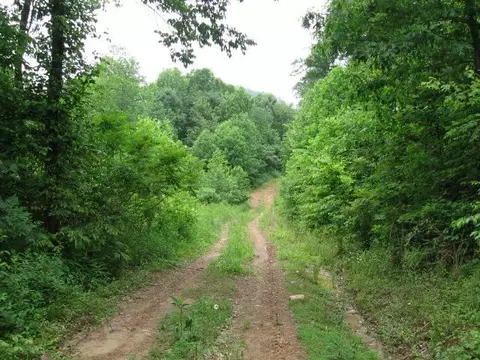 306 S Fork Rd, Stanton, KY 40380 photo 10