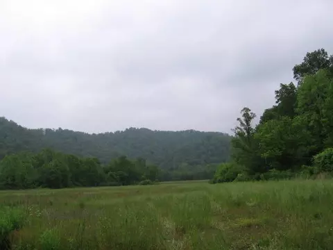 306 S Fork Rd, Stanton, KY 40380 photo 37