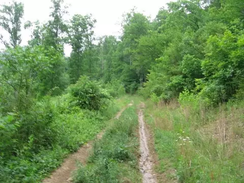 306 S Fork Rd, Stanton, KY 40380 photo 6