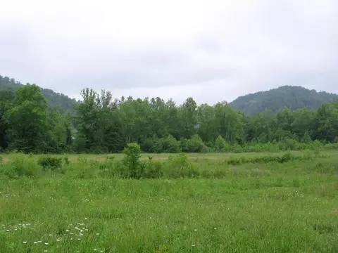 306 S Fork Rd, Stanton, KY 40380 photo 3