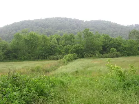306 S Fork Rd, Stanton, KY 40380 photo 36
