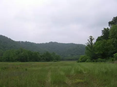 306 S Fork Rd, Stanton, KY 40380 photo 38